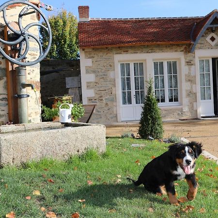Gite L'Orangerie Villa Mouchamps Esterno foto