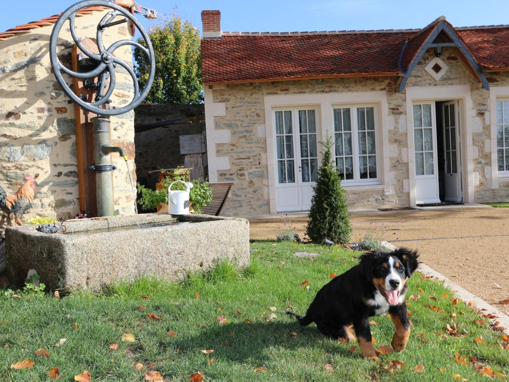 Gite L'Orangerie Villa Mouchamps Esterno foto