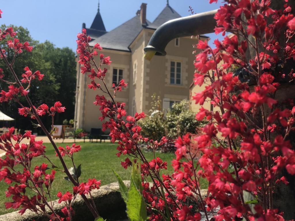 Gite L'Orangerie Villa Mouchamps Esterno foto