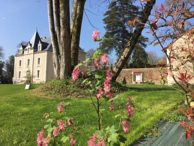 Gite L'Orangerie Villa Mouchamps Esterno foto